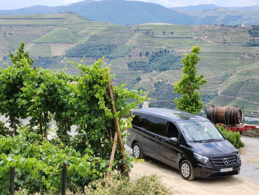 From Peso da Régua: Visit 3 wineries, tasting and viewpoint - Why a private Douro winery day starts in Peso da Régua