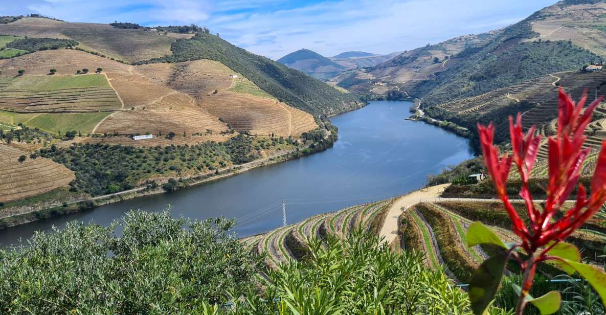 From Peso da Régua: Visit 3 wineries, tasting and viewpoint - How the tasting pacing shapes your enjoyment