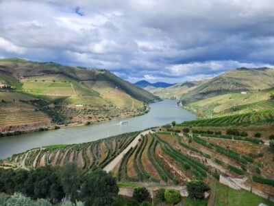 From Peso da Régua: Visit 3 wineries, tasting and viewpoint - Your full day, hour by hour: three tastings and a viewpoint
