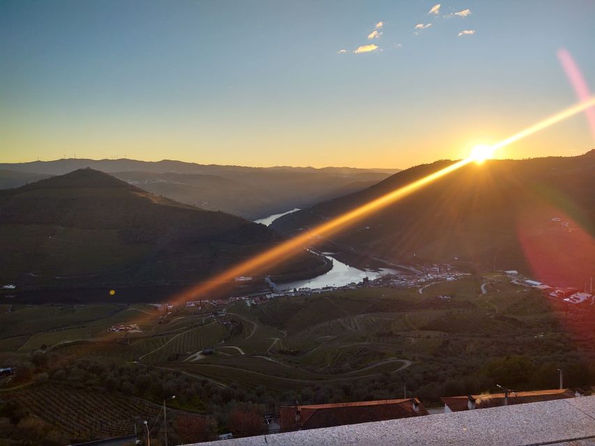 From Peso da Régua: Visit 3 wineries, tasting and viewpoint - The “three different places” value: local wineries plus a small producer