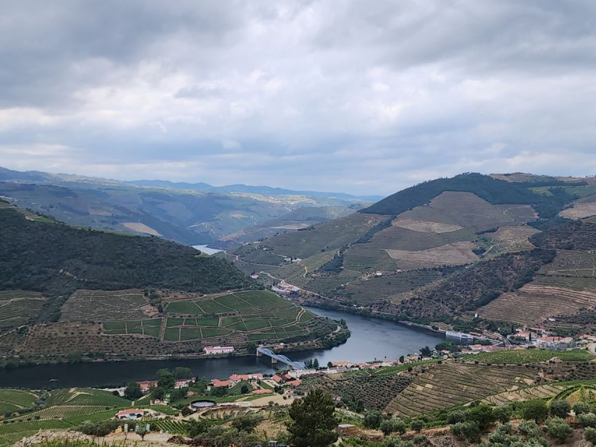From Peso da Régua: Visit 3 wineries, tasting and viewpoint - Price and logistics: what $216 per person is really paying for