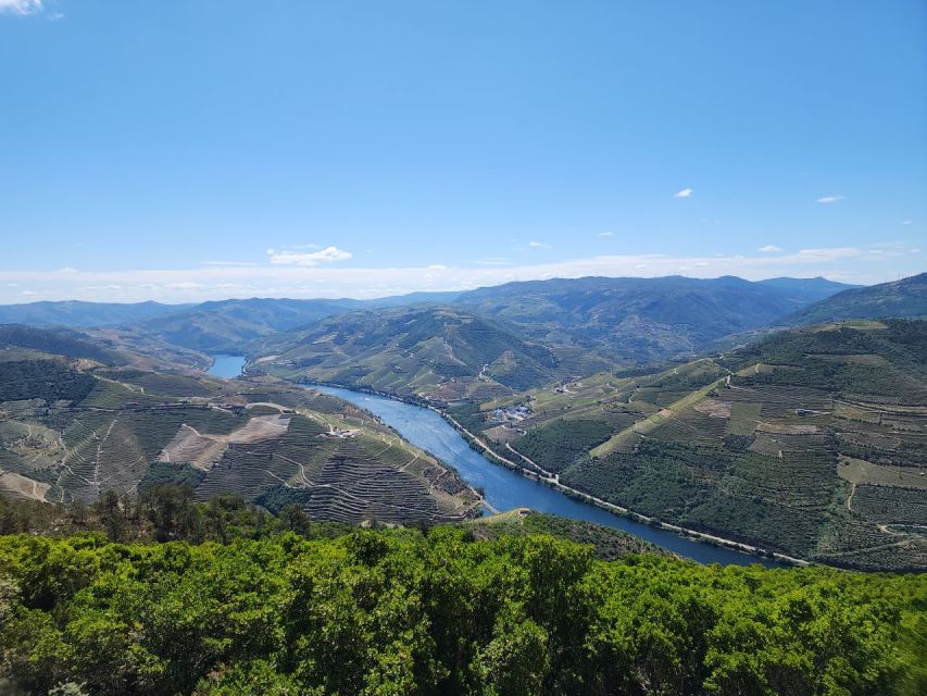 From Peso da Régua: Visit 3 wineries, tasting and viewpoint - Should you book this private Douro wine-and-viewpoint tour?