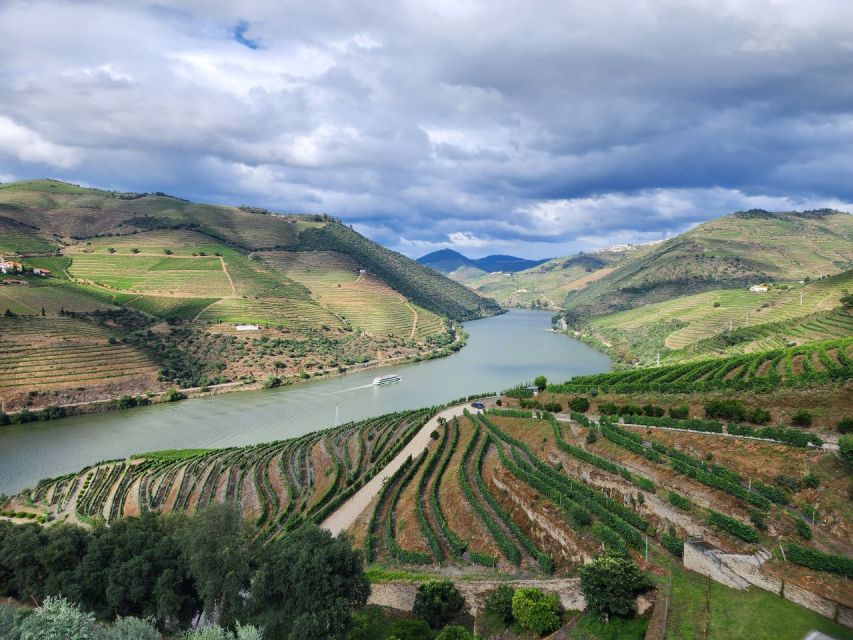 From Peso da Régua: Visit 3 wineries, tasting and viewpoint - Your full day, hour by hour: three tastings and a viewpoint