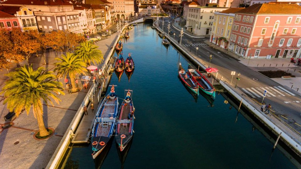 From Porto: Aveiro and Coimbra Private Tour - The Aveiro soft eggs and local lunch choices that actually satisfy