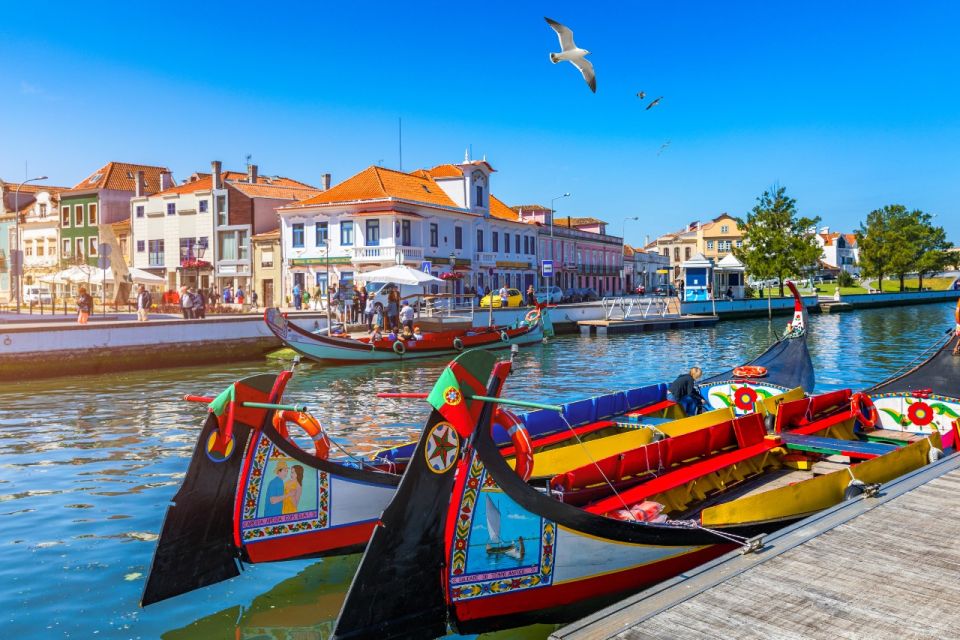 From Porto: Aveiro and Coimbra Private Tour - Costa Nova: striped fishermen’s houses and when crowds can matter