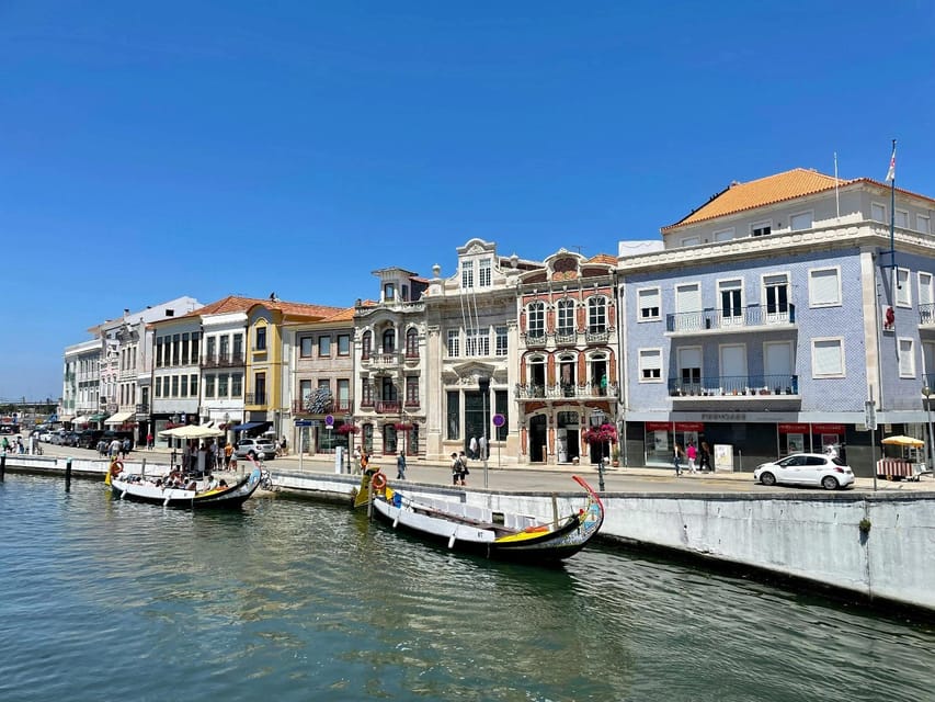 From Porto: Aveiro Half Day Tour - From Porto to Aveiro: what this 5-hour route gets right