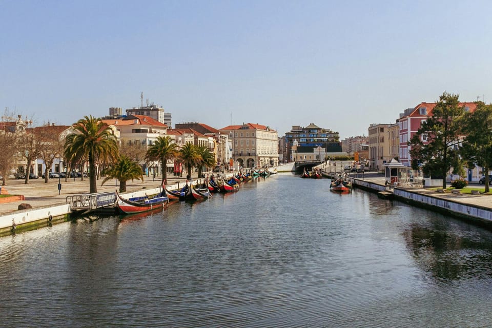 From Porto: Aveiro Half Day Tour - WiFi, air-conditioning, and other small comforts that add up