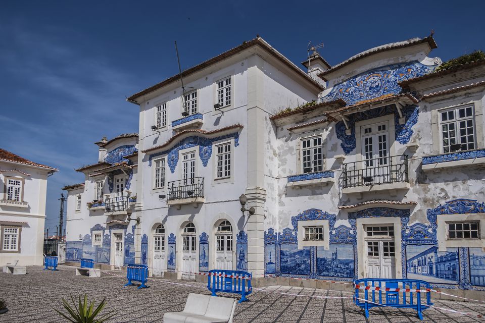 From Porto: Aveiro Private Guided Day Trip - Porto to Aveiro in one comfortable, private day