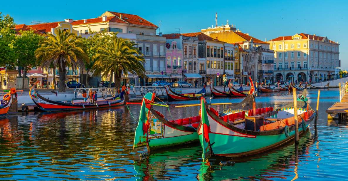 From Porto: Aveiro Private Guided Day Trip - Ria de Aveiro cruise and moliceiro boats: your best “aha” moment