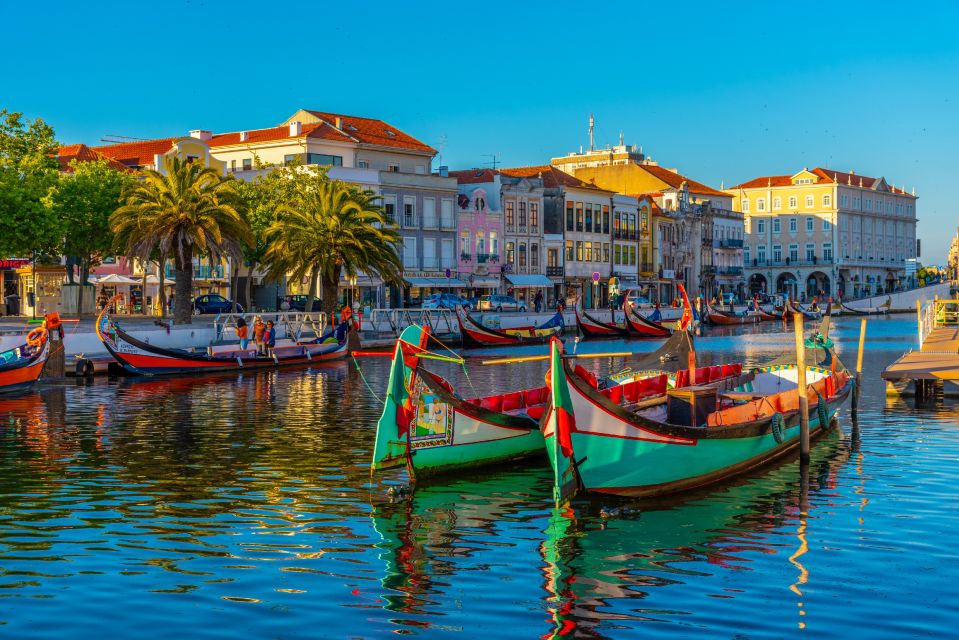 From Porto: Aveiro Private Guided Day Trip - Fish market, ceramics at Vista Alegre, and smart souvenir time