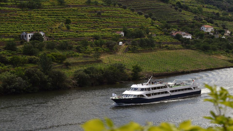 From Porto: Douro River Cruise, Winery Visit & Lunch - Pinhão: the center of the Douro Demarcated Region