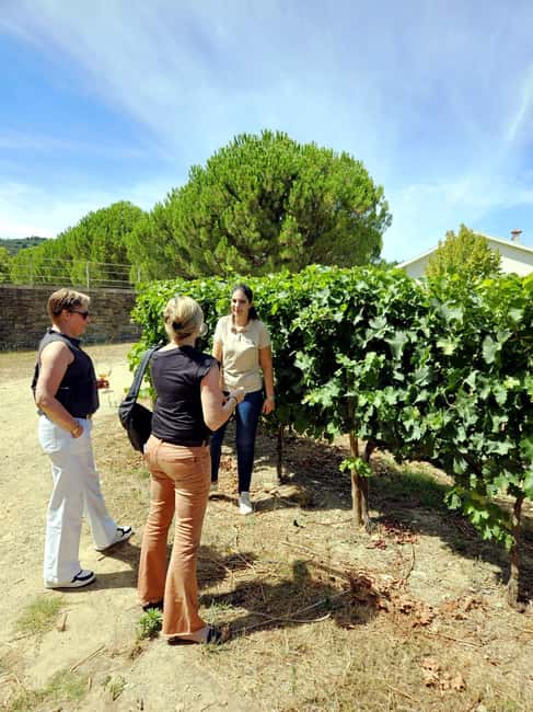 From Porto: Douro Valley 3 Vineyards Tour with Lunch - Why this Douro day feels long (and why it still works)