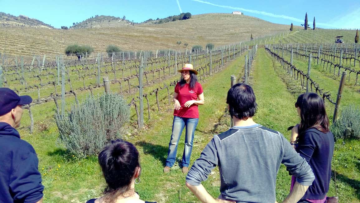 From Porto: Douro Valley 3 Vineyards Tour with Lunch - The full flow: 3 vineyard tastings plus sightseeing time