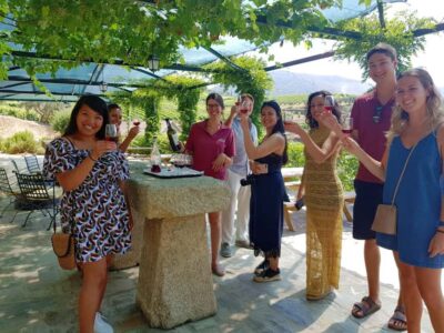 From Porto: Douro Valley 3 Vineyards Tour with Lunch - Getting from Porto: pick-ups, coach comfort, and the route out