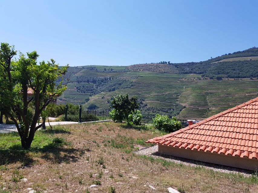 From Porto: Douro Valley 3 Vineyards Tour with Lunch - Port vs DOC: what you’ll actually be tasting