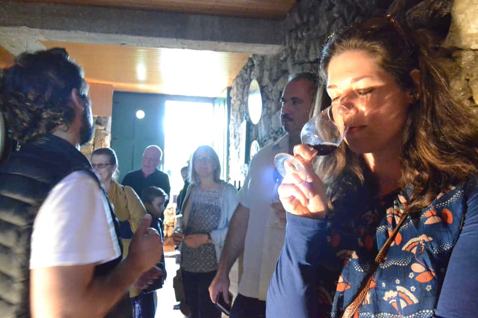 From Porto: Douro Valley 3 Vineyards Tour with Lunch - The guides: energy matters on a long wine day