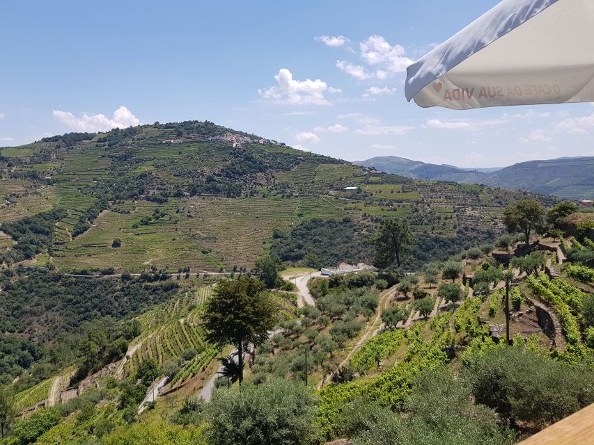 From Porto: Douro Valley 3 Vineyards Tour with Lunch - Who should book this tour, and who should think twice