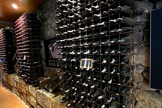 From Porto: Douro Valley Tour with 2 Wineries, Lunch and Cruise - Vale do Douro Cellar Lunch: DOC Wine + Port Tastings