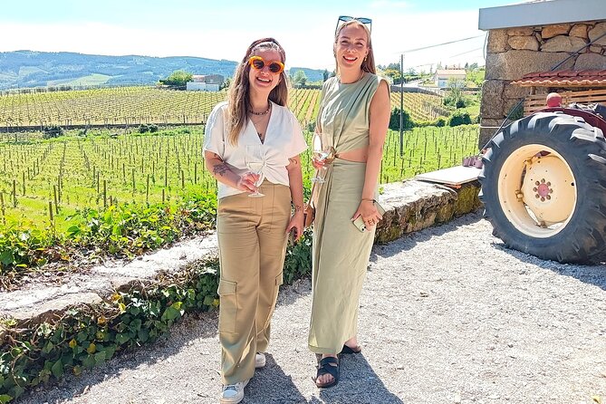 From Porto: Douro Valley Tour with 2 Wineries, Lunch and Cruise - Value Check: What $138.78 Actually Buys You