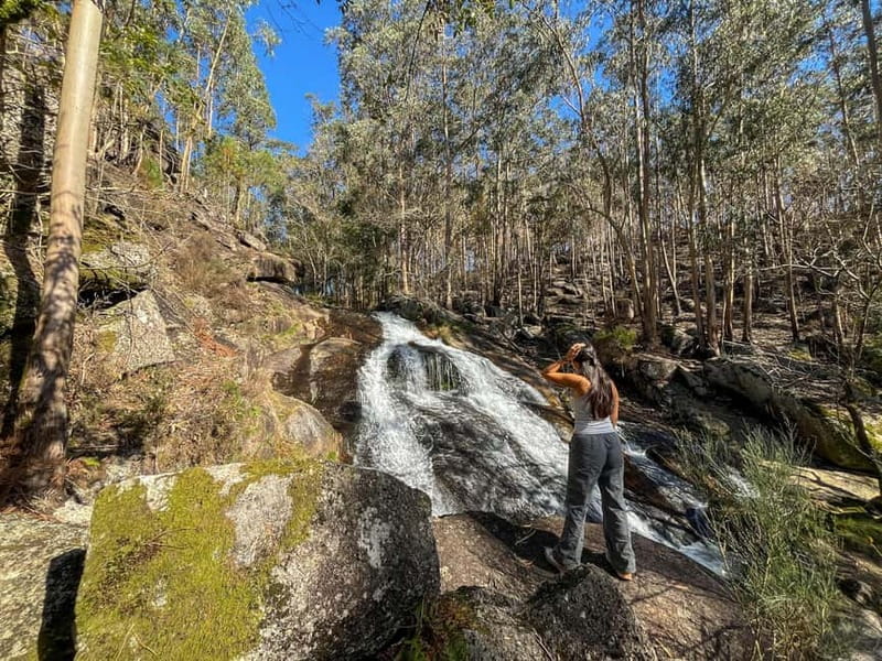 From Porto: Forest Waterfalls & Roman Ruins Trail Tour - Key Things That Make This Tour Worth Your Time