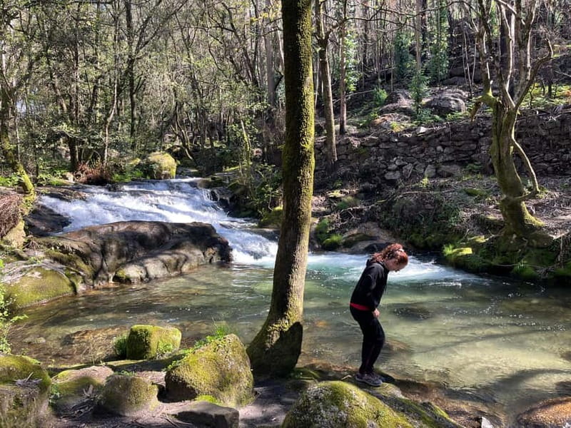 From Porto: Forest Waterfalls & Roman Ruins Trail Tour - Quedas da Fervença Waterfalls: Your Cool-Down Stop