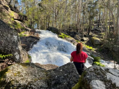 From Porto: Forest Waterfalls & Roman Ruins Trail Tour - The Walking Portion: 6 km of Forest Trails (and Calves With Opinions)