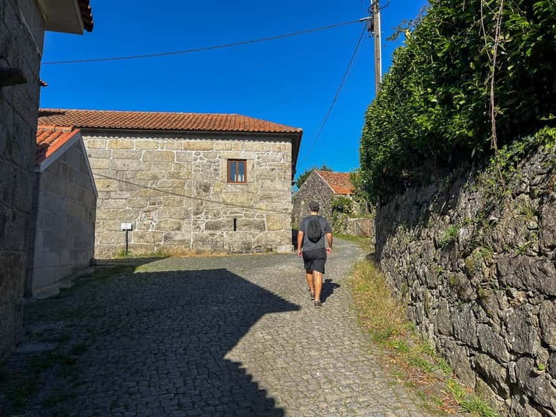 From Porto: Forest Waterfalls & Roman Ruins Trail Tour - Your Guide Matters: Joao’s Safe Pace and Plant Spotting