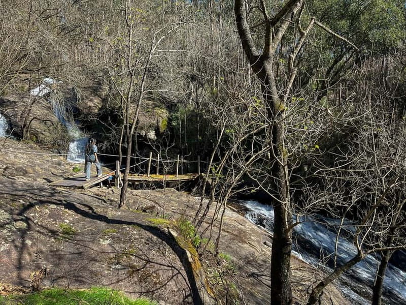 From Porto: Forest Waterfalls & Roman Ruins Trail Tour - Porto Pickup and Drop-Off: Getting In and Out Without Headaches