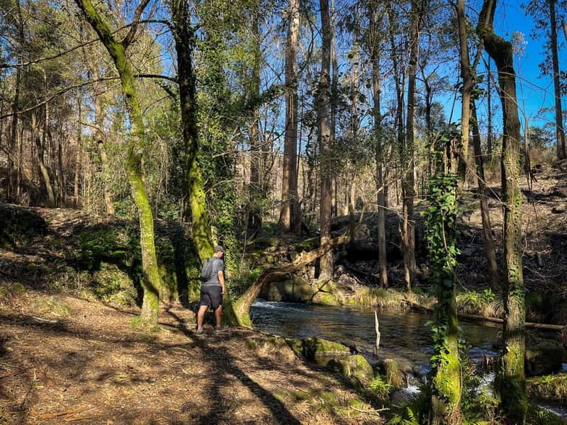 From Porto: Forest Waterfalls & Roman Ruins Trail Tour - What to Bring for a Comfortable 4-Hour Day