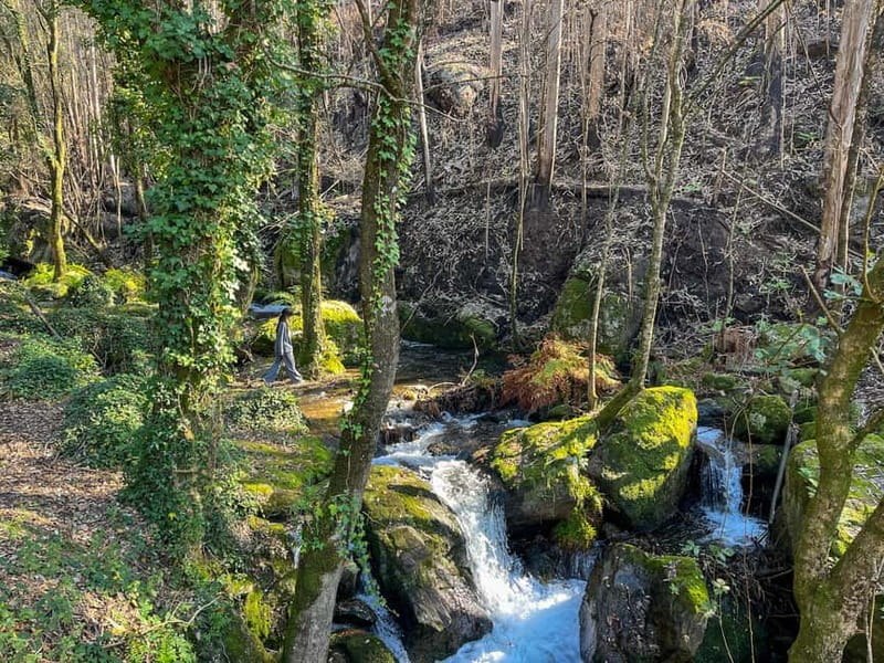 From Porto: Forest Waterfalls & Roman Ruins Trail Tour - Price and Value: What You’re Actually Paying For