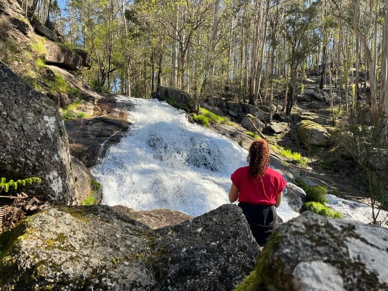From Porto: Forest Waterfalls & Roman Ruins Trail Tour - The Walking Portion: 6 km of Forest Trails (and Calves With Opinions)