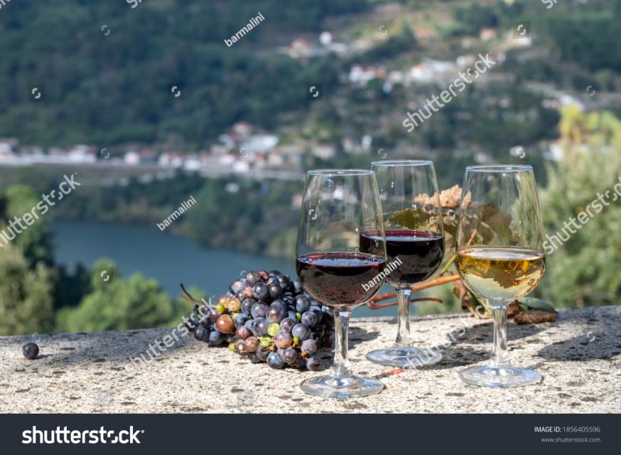 From Porto: Full-Day Douro Historical Tour - Key Things I’d Prioritize on This Douro Day Trip