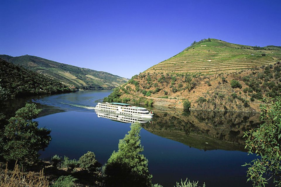 From Porto: Full-Day Douro Historical Tour - The Point of This Full-Day Douro Tour (And Why It Works)