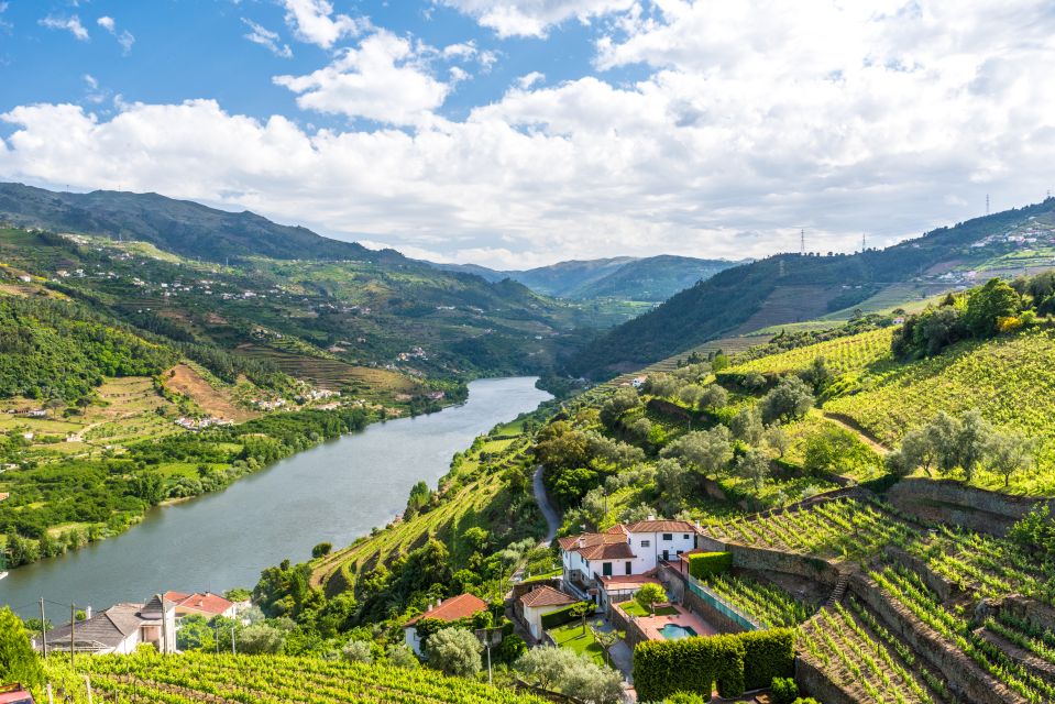 From Porto: Full-Day Douro Historical Tour - Amarante: The Historic Town Stop That Breaks the Drive