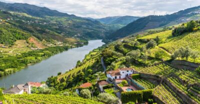 From Porto: Full-Day Douro Historical Tour - Starting in Porto: Getting to Rua Mouzinho da Silveira Fast