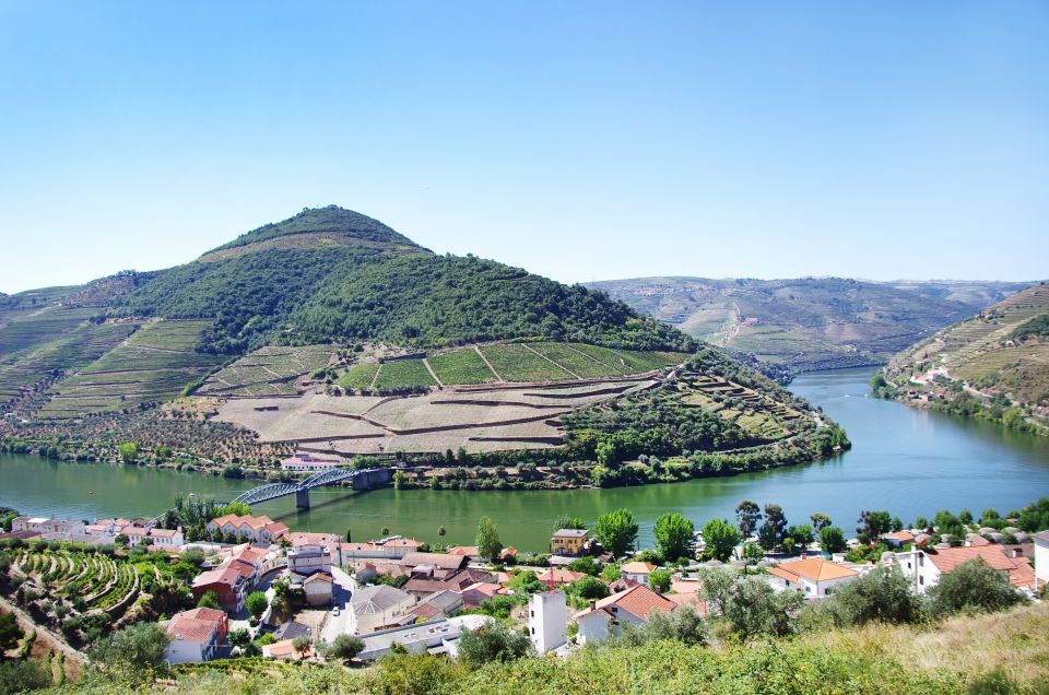 From Porto: Full-Day Douro Historical Tour - Lunch in the Middle: Fuel Without Screwing Up the Day
