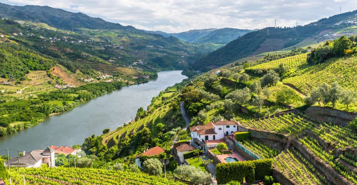 From Porto: Full-Day Douro Historical Tour - Starting in Porto: Getting to Rua Mouzinho da Silveira Fast