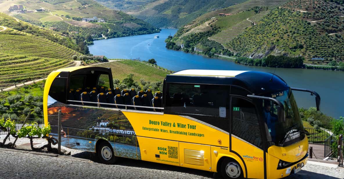 From Porto: Full-Day Douro Valley & Wine Tour with Lunch - Quick Takes Before You Go
