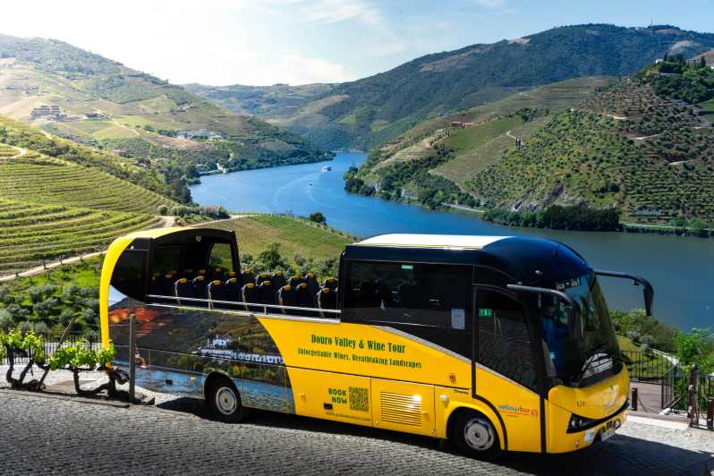 From Porto: Full-Day Douro Valley & Wine Tour with Lunch - Comfort, Timing, and What to Wear on a 10-Hour Day