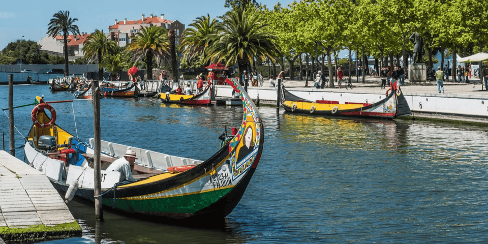 From Porto: Full-Day Trip to Coimbra & Aveiro with Boat Ride - Coimbra’s guided walk: medieval gates, two cathedrals, and real student-city energy
