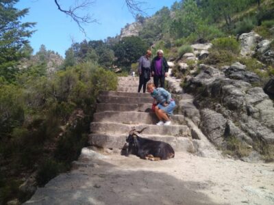 From Porto: Guided tour to Gerês Park - From Porto or Braga to the park: easy logistics, real time outside
