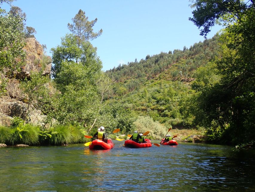 From Porto: Paiva River Canoe Rafting Adventure Tour - Price and value: what you’re really paying for at $100