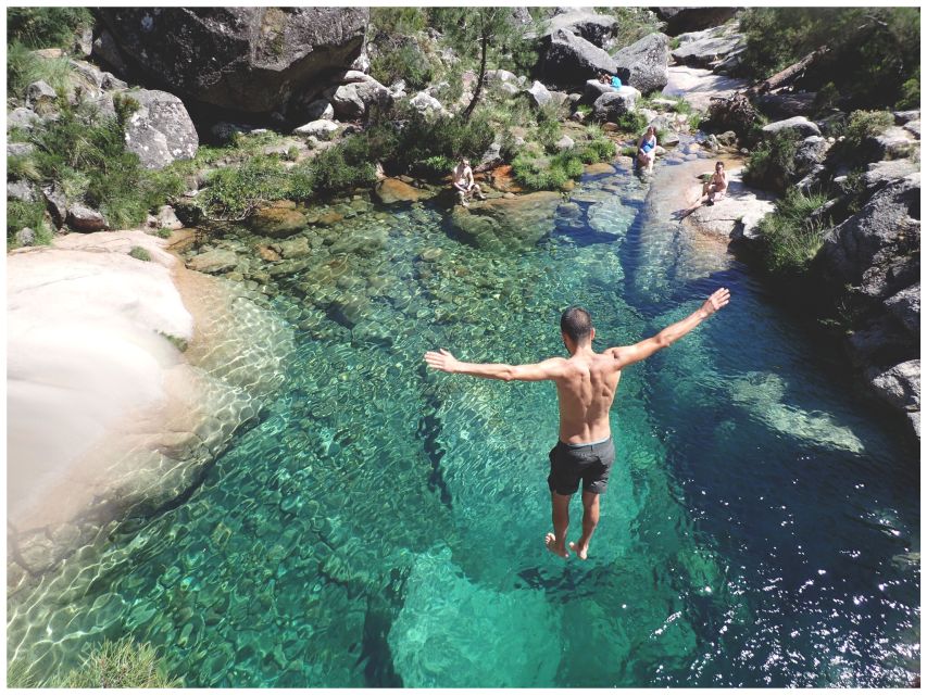 From Porto: Peneda-Gerês National Park Tour with Lunch - The reforestation effort: your participation goes beyond photos