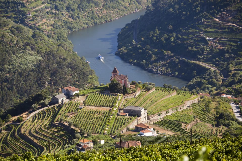 From Porto: Premium Douro Valley Small-Group Wine Tour - Van size, boat capacity, and the practical comfort of a small-group day