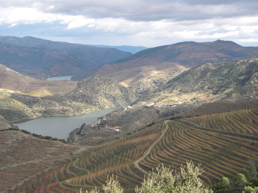 From Porto: Private Douro Valley Tour with Booking Service - What the 8 Hours Feels Like: A Realistic Pace That Still Leaves Breathing Room