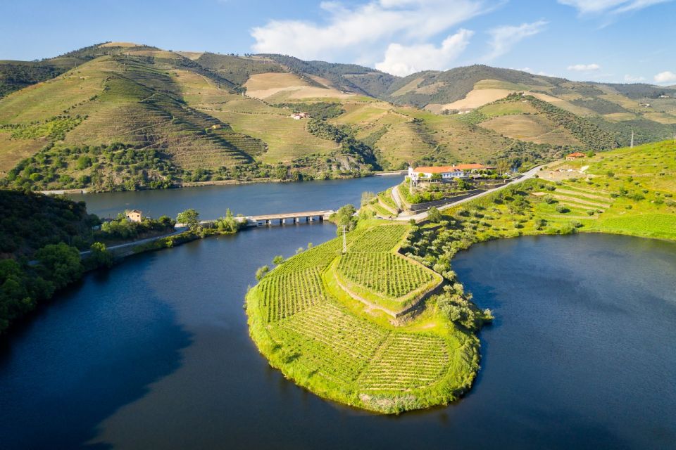 From Porto: Private Douro Valley Tour with Booking Service - Why This Douro Day Works Better Than a Rushed Group Tour