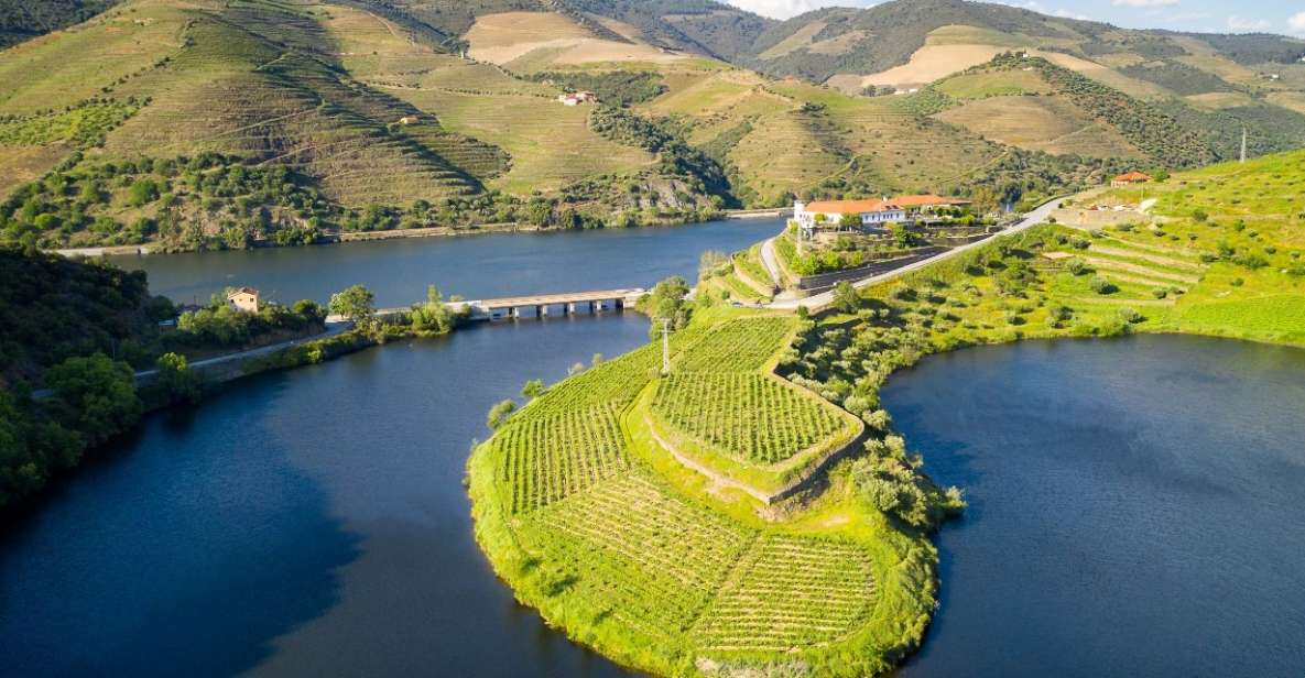 From Porto: Private Douro Valley Tour with Booking Service - First Stop: Casa de Casal de Loivos for a Quick Snapshot