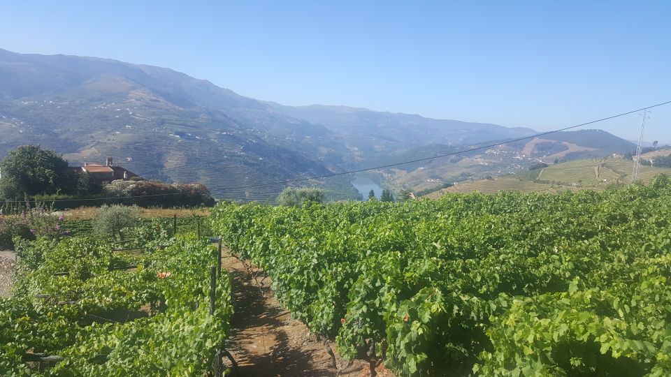 From Porto: Private Douro Valley Tour with Booking Service - Pinhão Break Time: Where the Valley Feels Personal