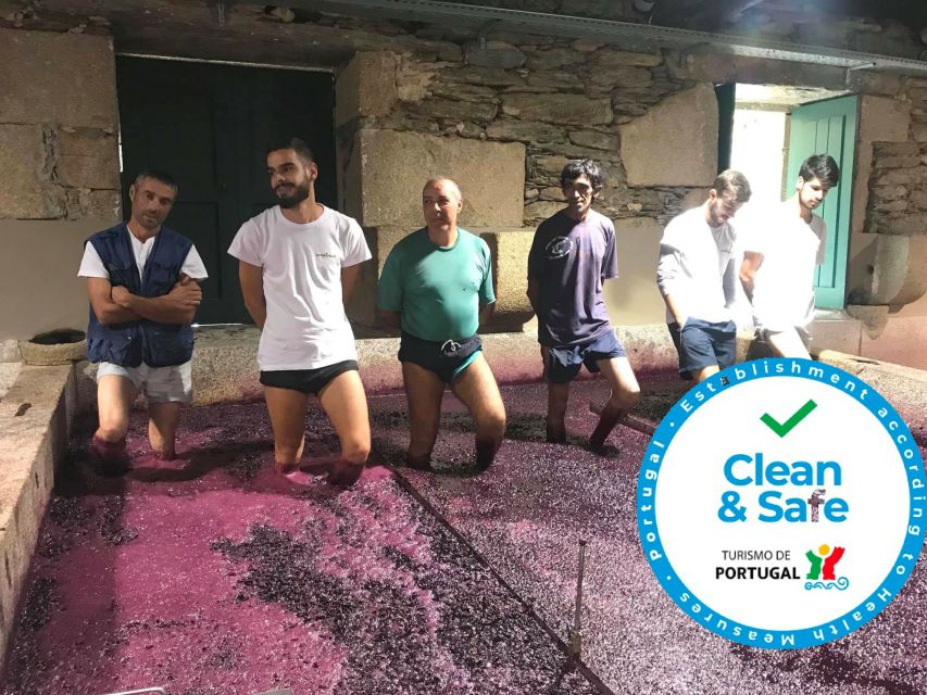 From Porto: Private Douro Valley Tour with Cruise and Wine - Photo Stops Built In: Getting Great Shots Without Chasing Angles