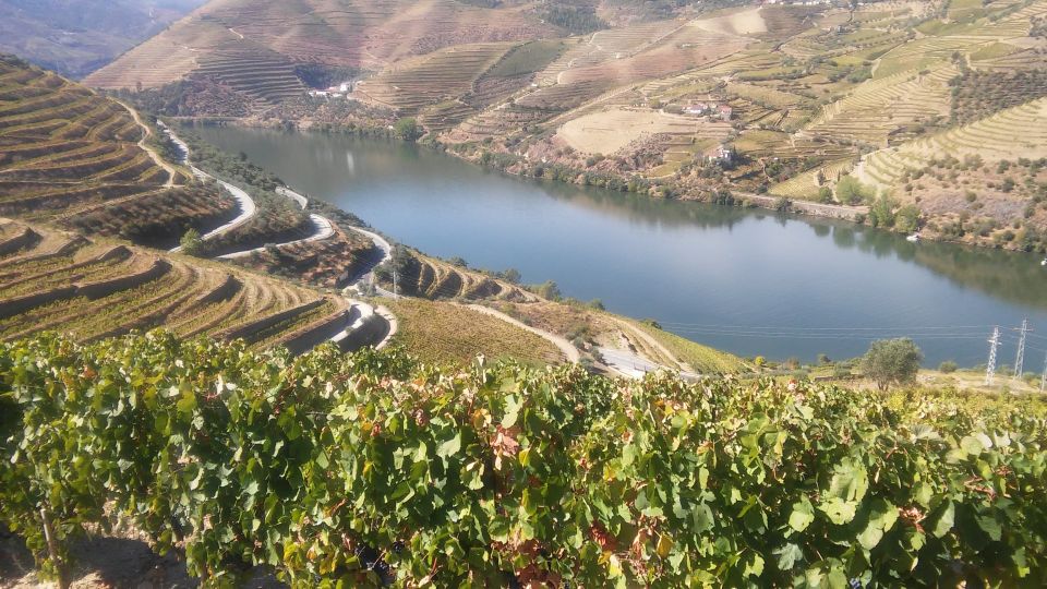 From Porto: Private Douro Valley Tour with Cruise and Wine - Pinhão Station: A Train-Station Stop You’ll Actually Remember